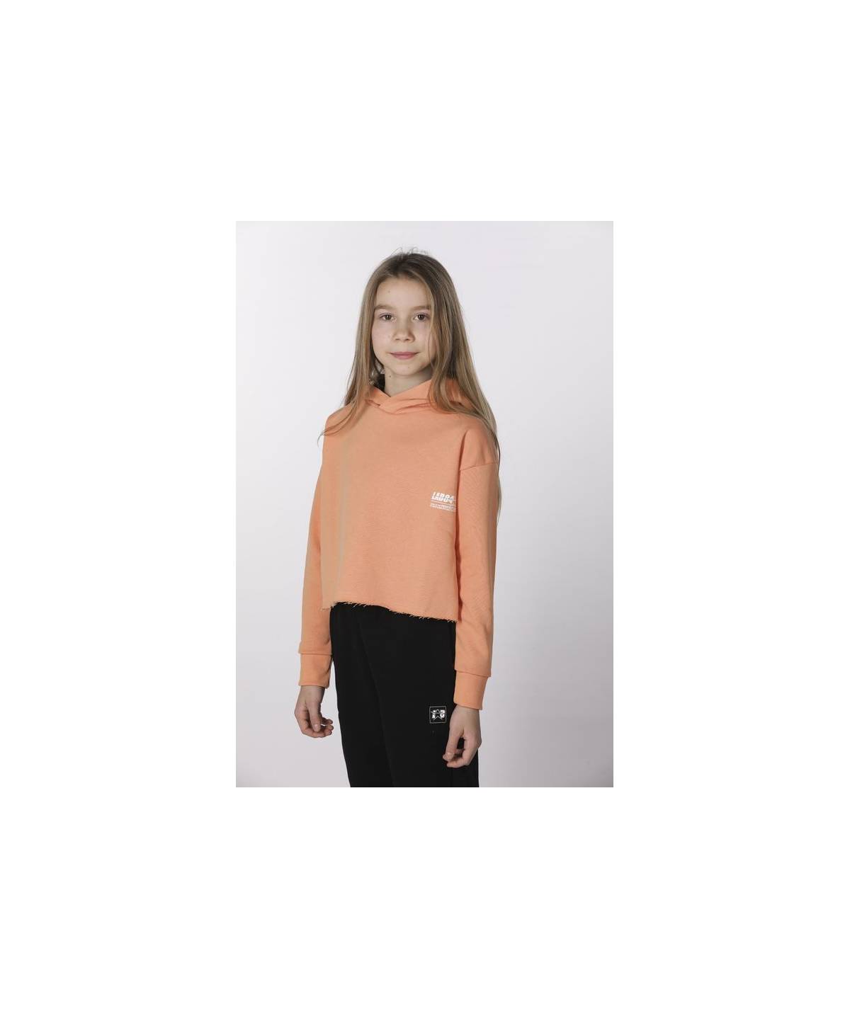 Lab84 CROP TOP CAPPUCCIO Shopping Online