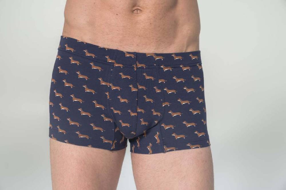 Julipet Boxer in cotone bielastico stampato Outlet