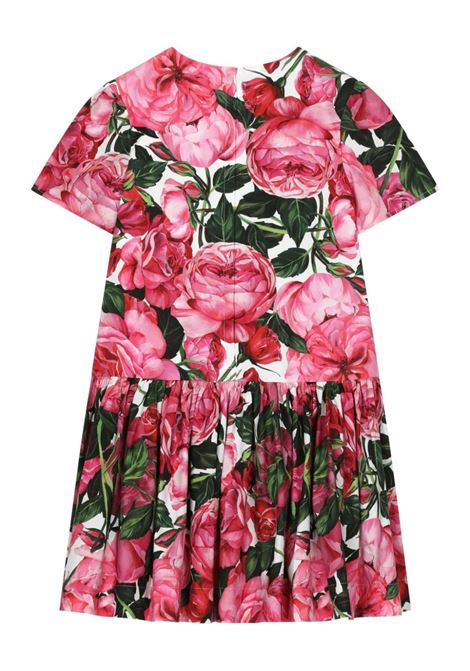 DOLCE & GABBANA KIDS Abito Con Stampa Di Rose Su Sfondo Bianco - DOLCE & GABBANA KIDS Hotsell