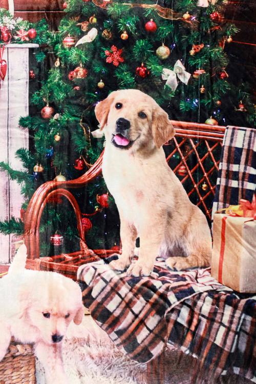 Susy Mix Plaid Stampa Cane Hotsell
