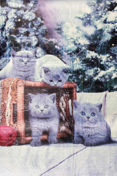 Susy Mix Plaid Stampa Gatto Vendita Calda